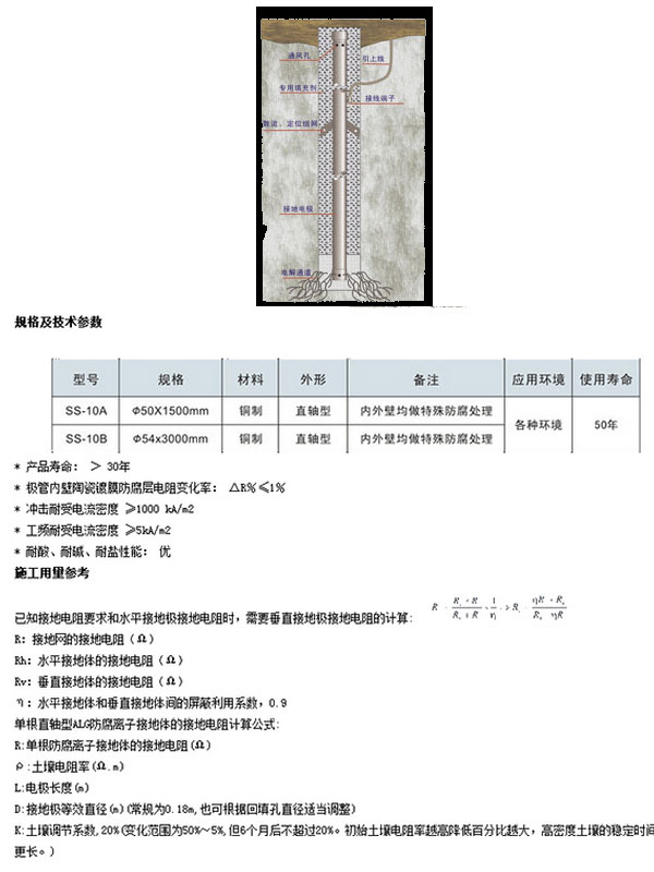 電解離子接地極1